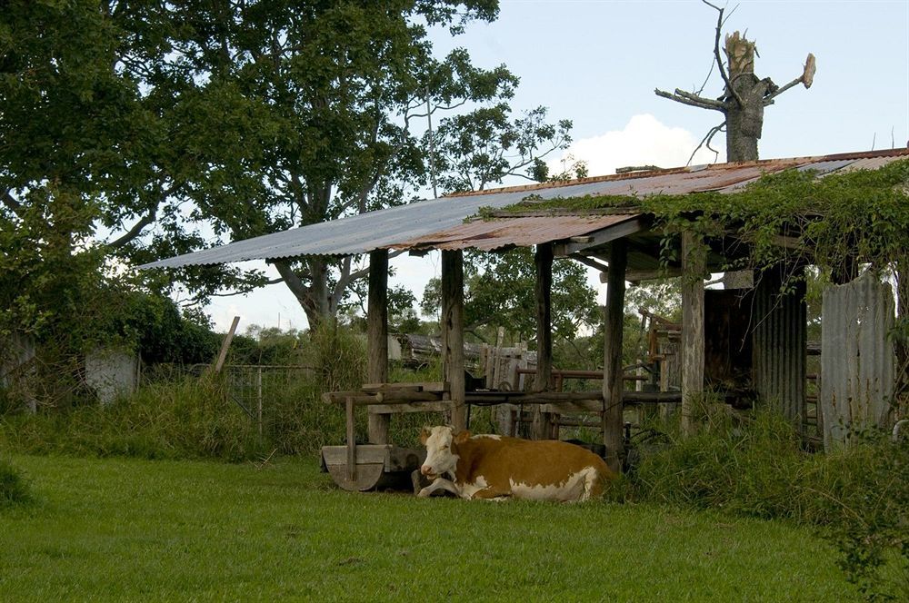 Lagoon Pocket Bed & Breakfast Exterior photo